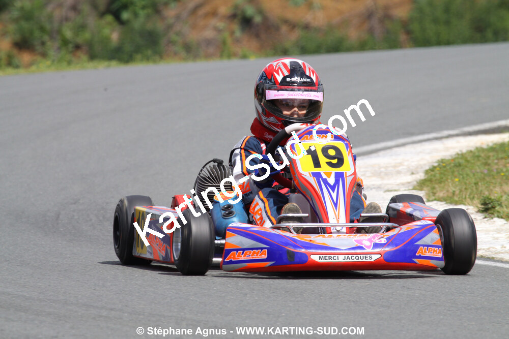 20/06/2010 : 4ème manche du Championnat Régional Open Atlantique 2010 à Layrac (photos Stéphane Agnus) 2010 — karting