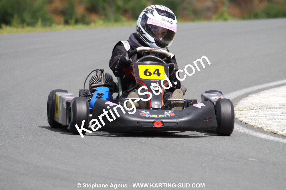 20/06/2010 : 4ème manche du Championnat Régional Open Atlantique 2010 à Layrac (photos Stéphane Agnus) 2010 — karting
