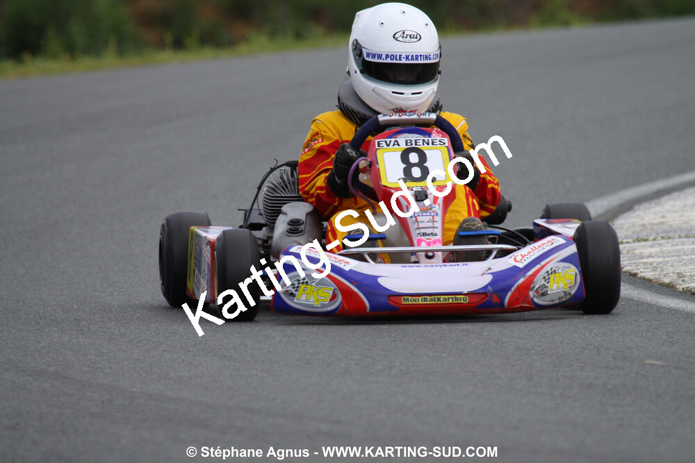 20/06/2010 : 4ème manche du Championnat Régional Open Atlantique 2010 à Layrac (photos Stéphane Agnus) 2010 — karting