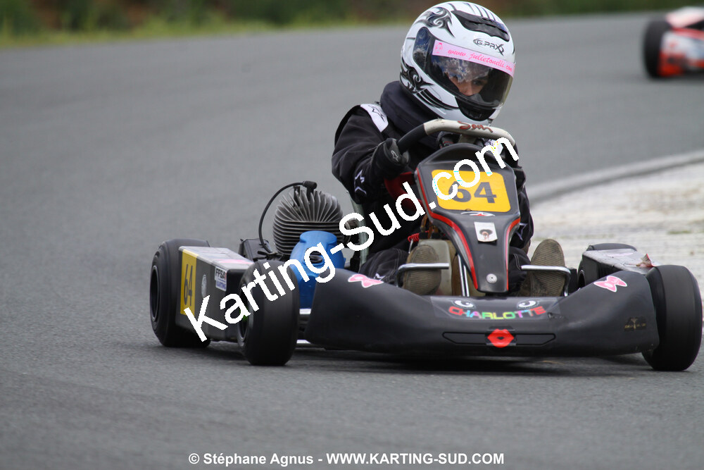 20/06/2010 : 4ème manche du Championnat Régional Open Atlantique 2010 à Layrac (photos Stéphane Agnus) 2010 — karting