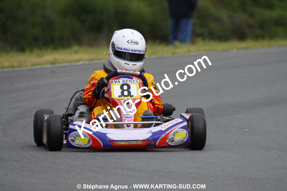 20/06/2010 : 4ème manche du Championnat Régional Open Atlantique 2010 à Layrac (photos Stéphane Agnus) 2010 — karting