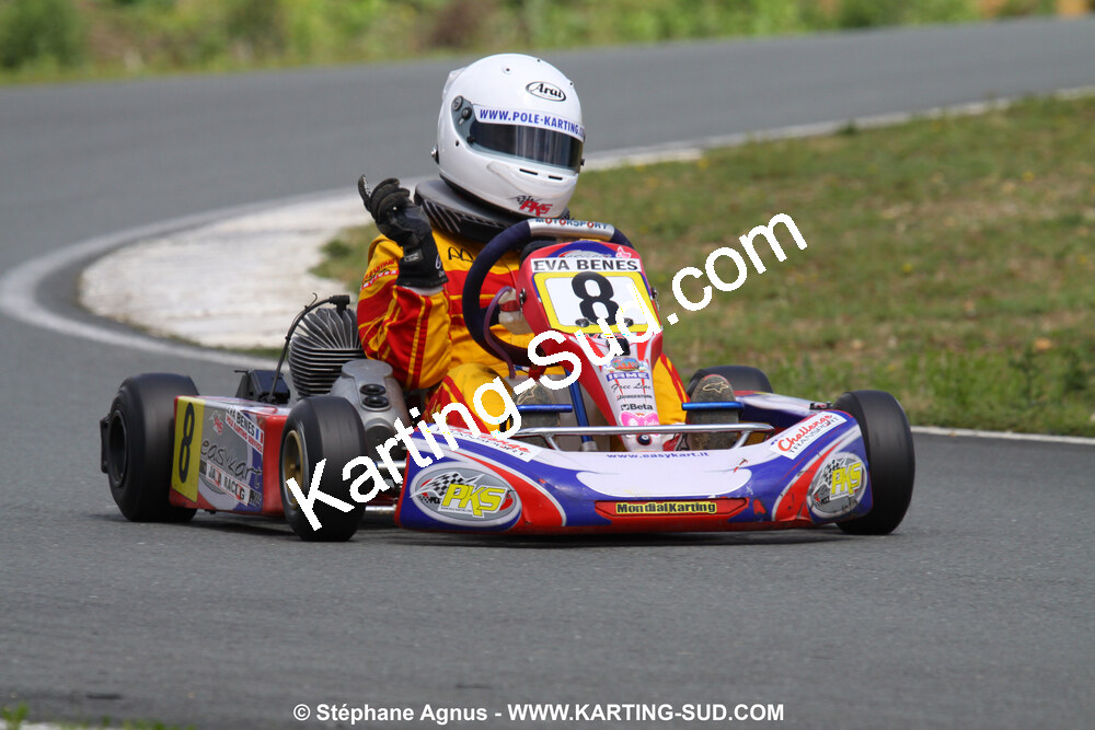 20/06/2010 : 4ème manche du Championnat Régional Open Atlantique 2010 à Layrac (photos Stéphane Agnus) 2010 — karting