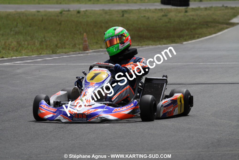 20/06/2010 : 4ème manche du Championnat Régional Open Atlantique 2010 à Layrac (photos Stéphane Agnus) 2010 — karting