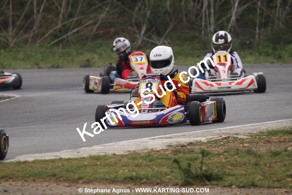 20/06/2010 : 4ème manche du Championnat Régional Open Atlantique 2010 à Layrac (photos Stéphane Agnus) 2010 — karting