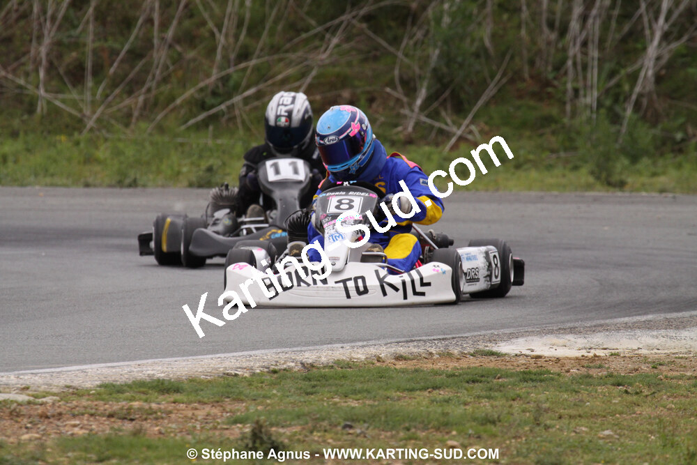 20/06/2010 : 4ème manche du Championnat Régional Open Atlantique 2010 à Layrac (photos Stéphane Agnus) 2010 — karting