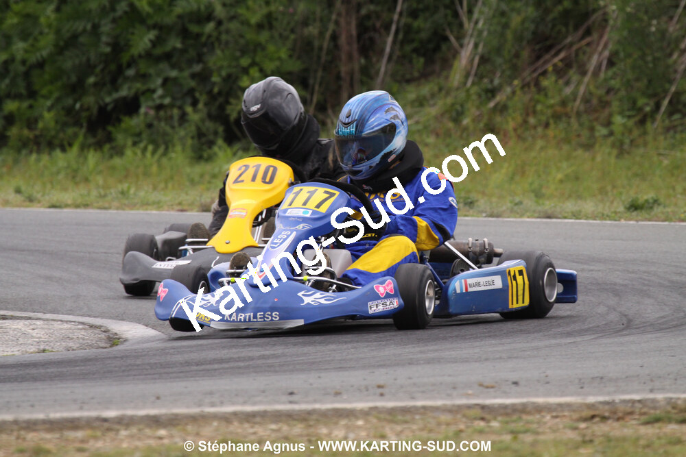 20/06/2010 : 4ème manche du Championnat Régional Open Atlantique 2010 à Layrac (photos Stéphane Agnus) 2010 — karting