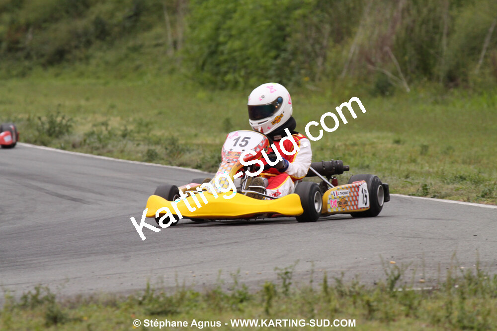 20/06/2010 : 4ème manche du Championnat Régional Open Atlantique 2010 à Layrac (photos Stéphane Agnus) 2010 — karting