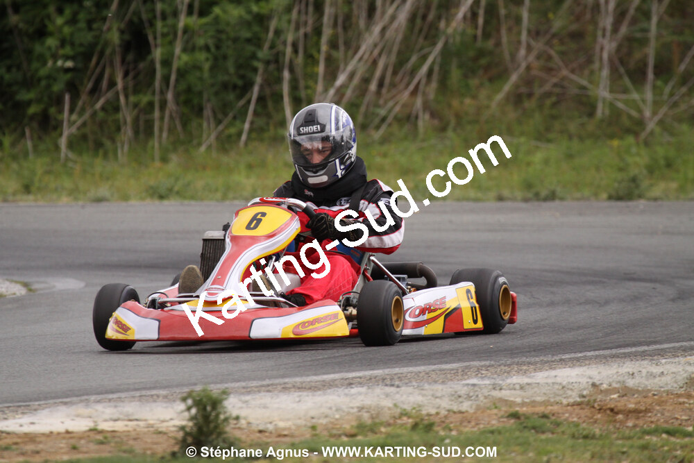 20/06/2010 : 4ème manche du Championnat Régional Open Atlantique 2010 à Layrac (photos Stéphane Agnus) 2010 — karting