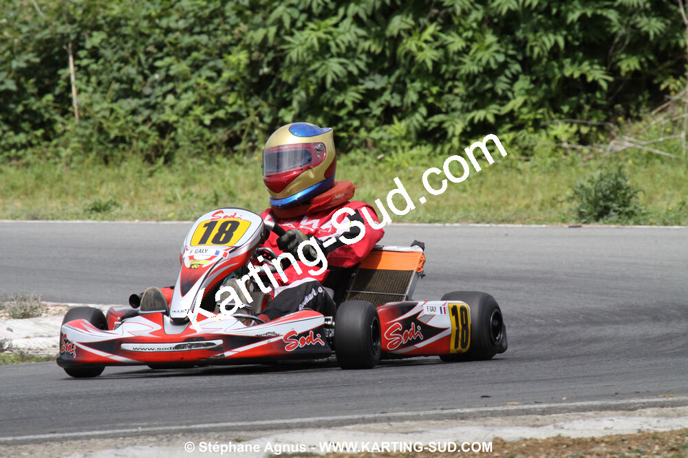20/06/2010 : 4ème manche du Championnat Régional Open Atlantique 2010 à Layrac (photos Stéphane Agnus) 2010 — karting