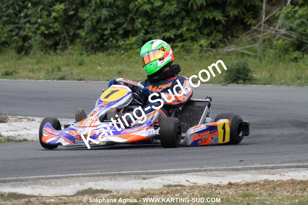 20/06/2010 : 4ème manche du Championnat Régional Open Atlantique 2010 à Layrac (photos Stéphane Agnus) 2010 — karting