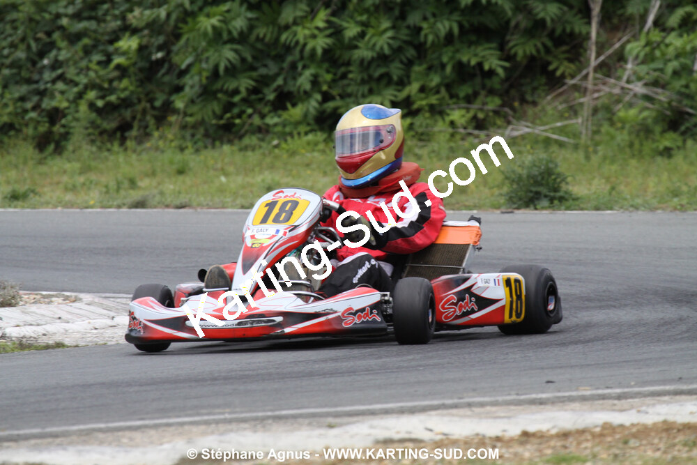 20/06/2010 : 4ème manche du Championnat Régional Open Atlantique 2010 à Layrac (photos Stéphane Agnus) 2010 — karting