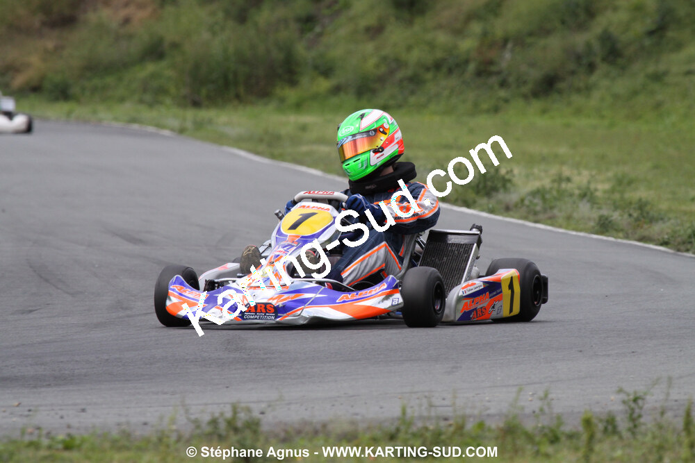 20/06/2010 : 4ème manche du Championnat Régional Open Atlantique 2010 à Layrac (photos Stéphane Agnus) 2010 — karting