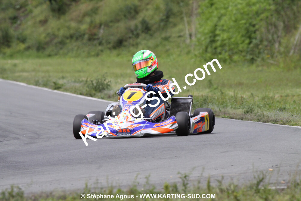 20/06/2010 : 4ème manche du Championnat Régional Open Atlantique 2010 à Layrac (photos Stéphane Agnus) 2010 — karting