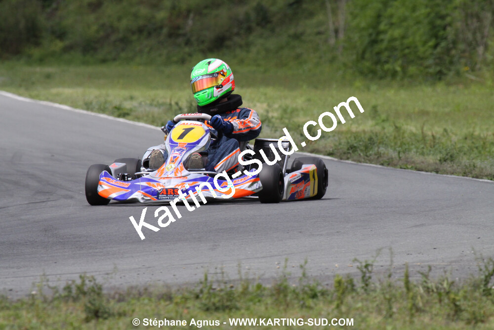 20/06/2010 : 4ème manche du Championnat Régional Open Atlantique 2010 à Layrac (photos Stéphane Agnus) 2010 — karting