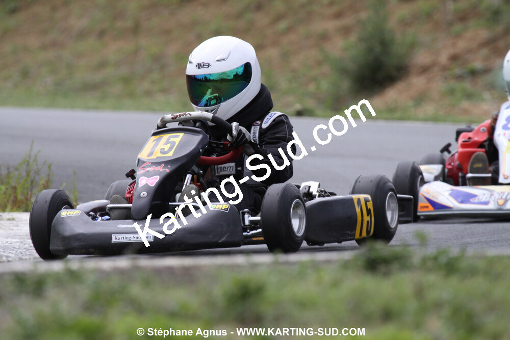 20/06/2010 : 4ème manche du Championnat Régional Open Atlantique 2010 à Layrac (photos Stéphane Agnus) 2010 — karting
