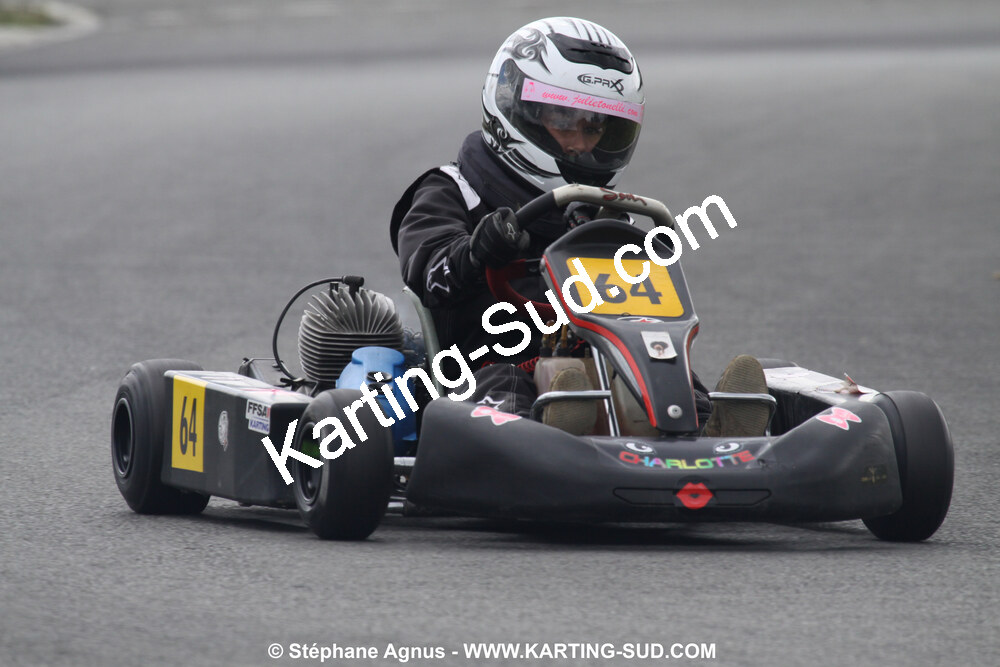 20/06/2010 : 4ème manche du Championnat Régional Open Atlantique 2010 à Layrac (photos Stéphane Agnus) 2010 — karting