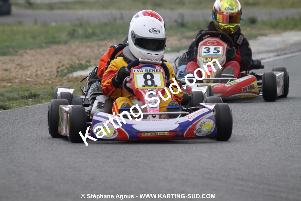 20/06/2010 : 4ème manche du Championnat Régional Open Atlantique 2010 à Layrac (photos Stéphane Agnus) 2010 — karting