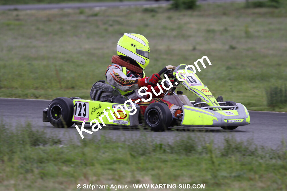 20/06/2010 : 4ème manche du Championnat Régional Open Atlantique 2010 à Layrac (photos Stéphane Agnus) 2010 — karting