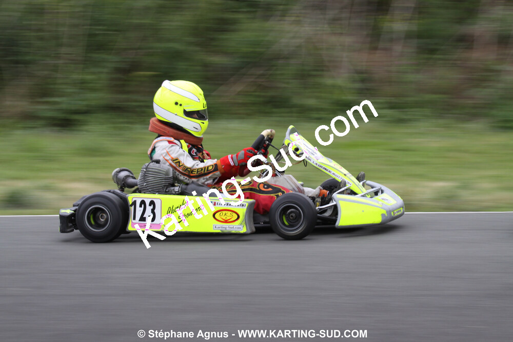 20/06/2010 : 4ème manche du Championnat Régional Open Atlantique 2010 à Layrac (photos Stéphane Agnus) 2010 — karting