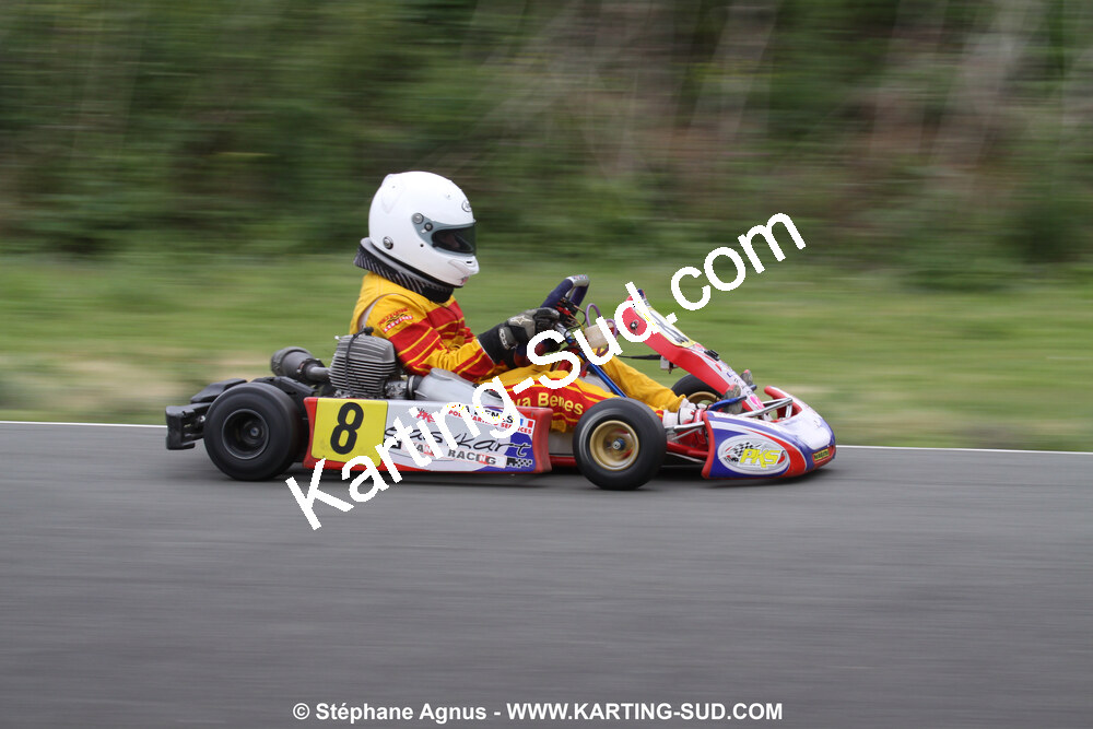 20/06/2010 : 4ème manche du Championnat Régional Open Atlantique 2010 à Layrac (photos Stéphane Agnus) 2010 — karting