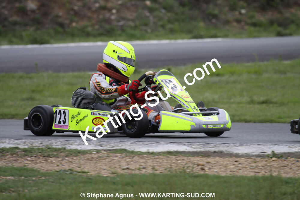 20/06/2010 : 4ème manche du Championnat Régional Open Atlantique 2010 à Layrac (photos Stéphane Agnus) 2010 — karting