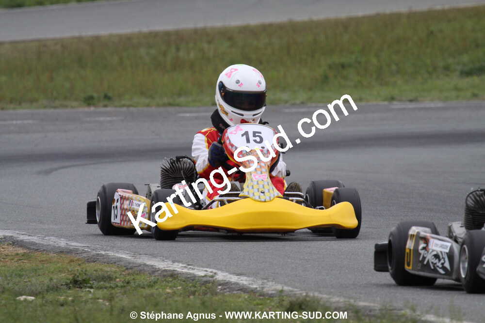 20/06/2010 : 4ème manche du Championnat Régional Open Atlantique 2010 à Layrac (photos Stéphane Agnus) 2010 — karting