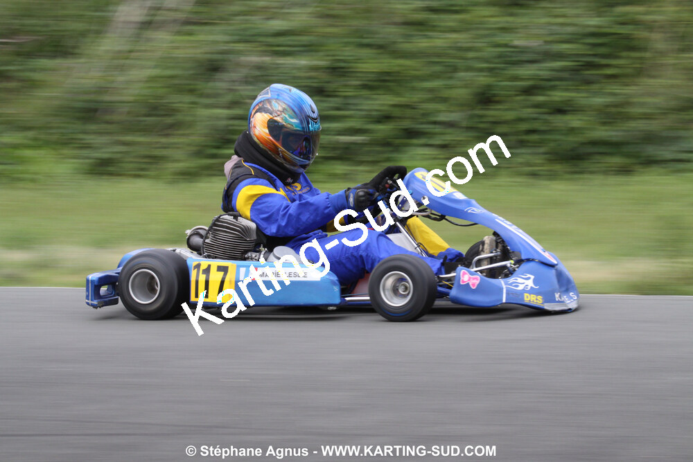 20/06/2010 : 4ème manche du Championnat Régional Open Atlantique 2010 à Layrac (photos Stéphane Agnus) 2010 — karting