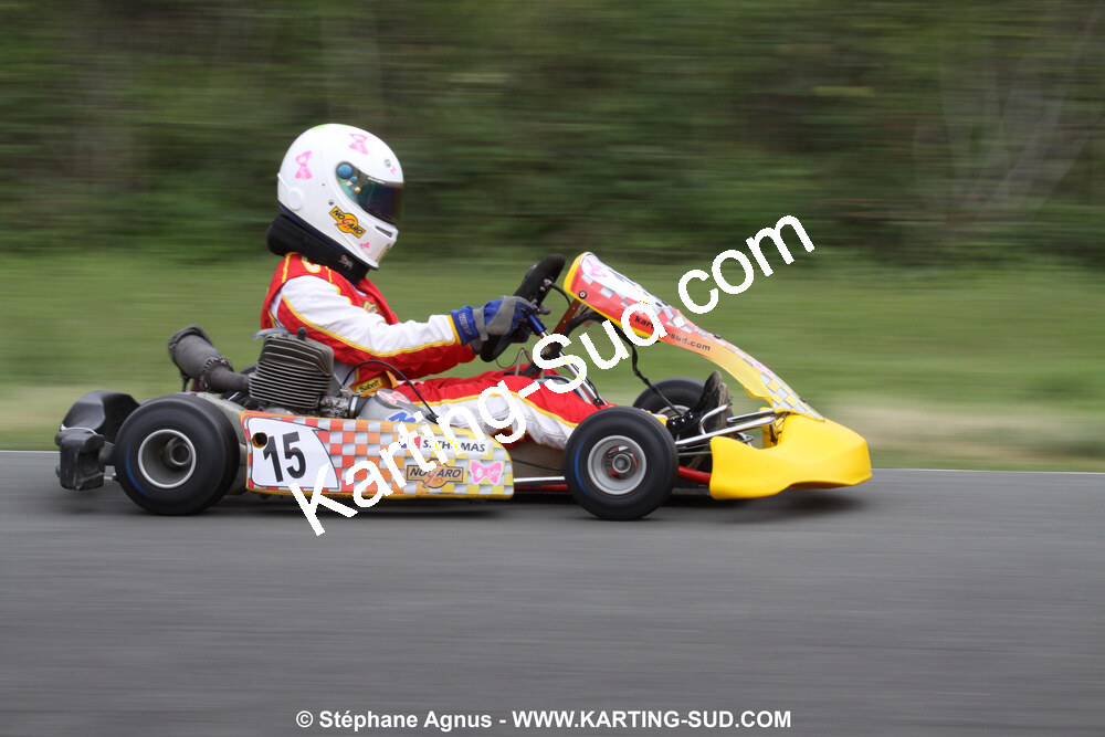 20/06/2010 : 4ème manche du Championnat Régional Open Atlantique 2010 à Layrac (photos Stéphane Agnus) 2010 — karting