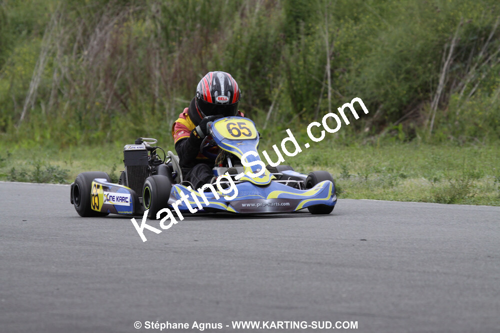 20/06/2010 : 4ème manche du Championnat Régional Open Atlantique 2010 à Layrac (photos Stéphane Agnus) 2010 — karting