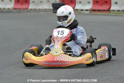 20/06/2010 : 4ème manche du Championnat Régional Open Atlantique 2010 à Layrac (photos Patrick Lascombes) 2010 — karting