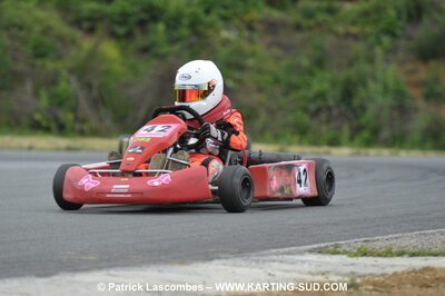 20/06/2010 : 4ème manche du Championnat Régional Open Atlantique 2010 à Layrac (photos Patrick Lascombes) 2010 — karting