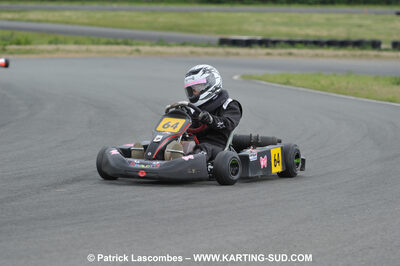 20/06/2010 : 4ème manche du Championnat Régional Open Atlantique 2010 à Layrac (photos Patrick Lascombes) 2010 — karting
