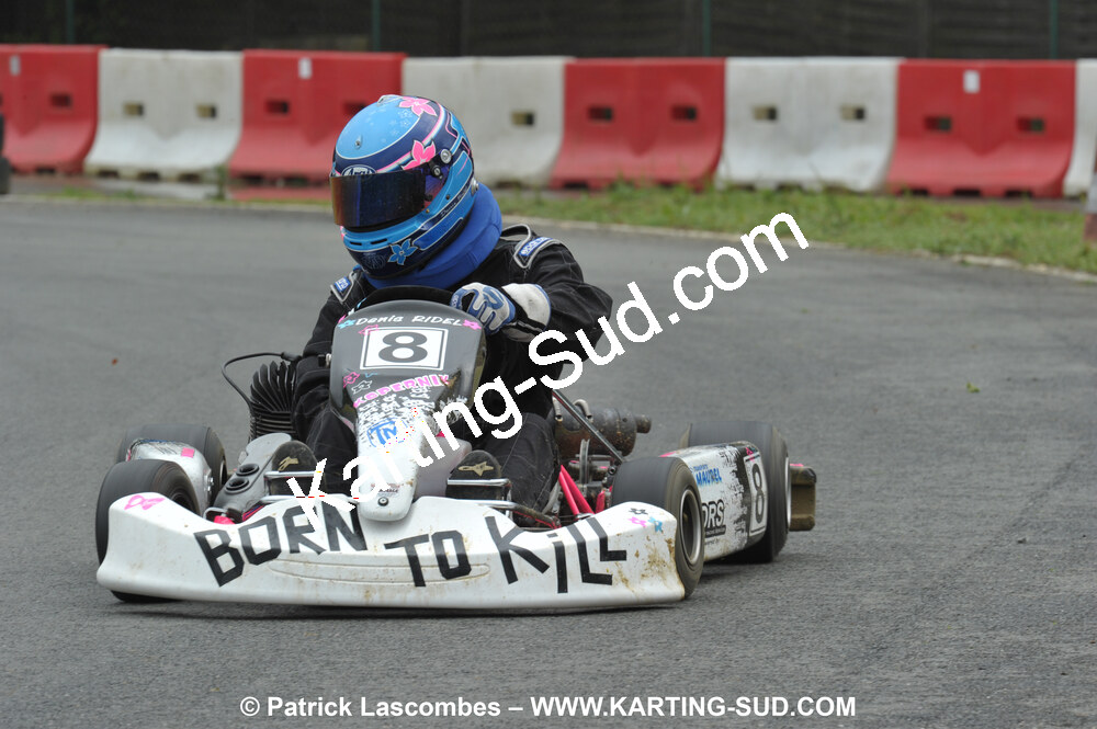 20/06/2010 : 4ème manche du Championnat Régional Open Atlantique 2010 à Layrac (photos Patrick Lascombes) 2010 — karting
