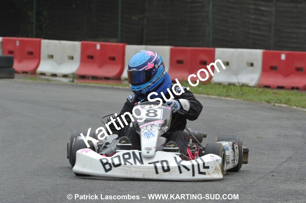 20/06/2010 : 4ème manche du Championnat Régional Open Atlantique 2010 à Layrac (photos Patrick Lascombes) 2010 — karting