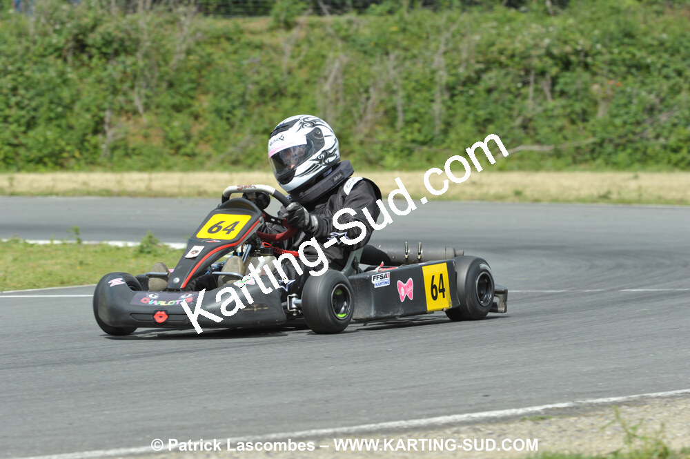 20/06/2010 : 4ème manche du Championnat Régional Open Atlantique 2010 à Layrac (photos Patrick Lascombes) 2010 — karting