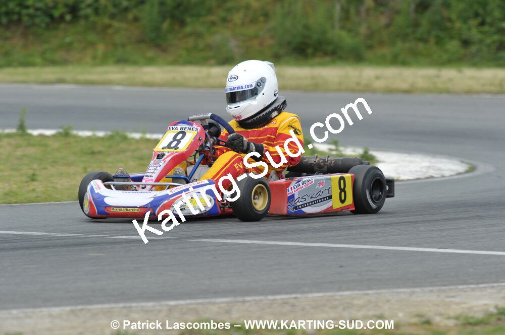 20/06/2010 : 4ème manche du Championnat Régional Open Atlantique 2010 à Layrac (photos Patrick Lascombes) 2010 — karting