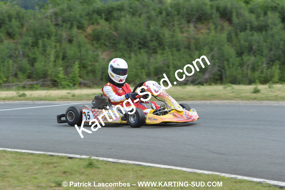 20/06/2010 : 4ème manche du Championnat Régional Open Atlantique 2010 à Layrac (photos Patrick Lascombes) 2010 — karting