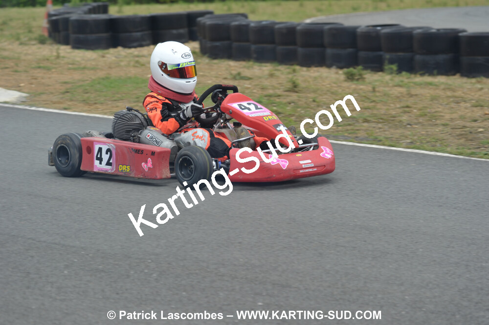 20/06/2010 : 4ème manche du Championnat Régional Open Atlantique 2010 à Layrac (photos Patrick Lascombes) 2010 — karting