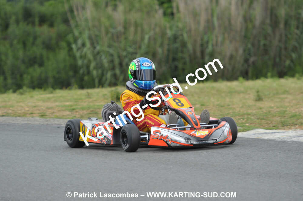 20/06/2010 : 4ème manche du Championnat Régional Open Atlantique 2010 à Layrac (photos Patrick Lascombes) 2010 — karting