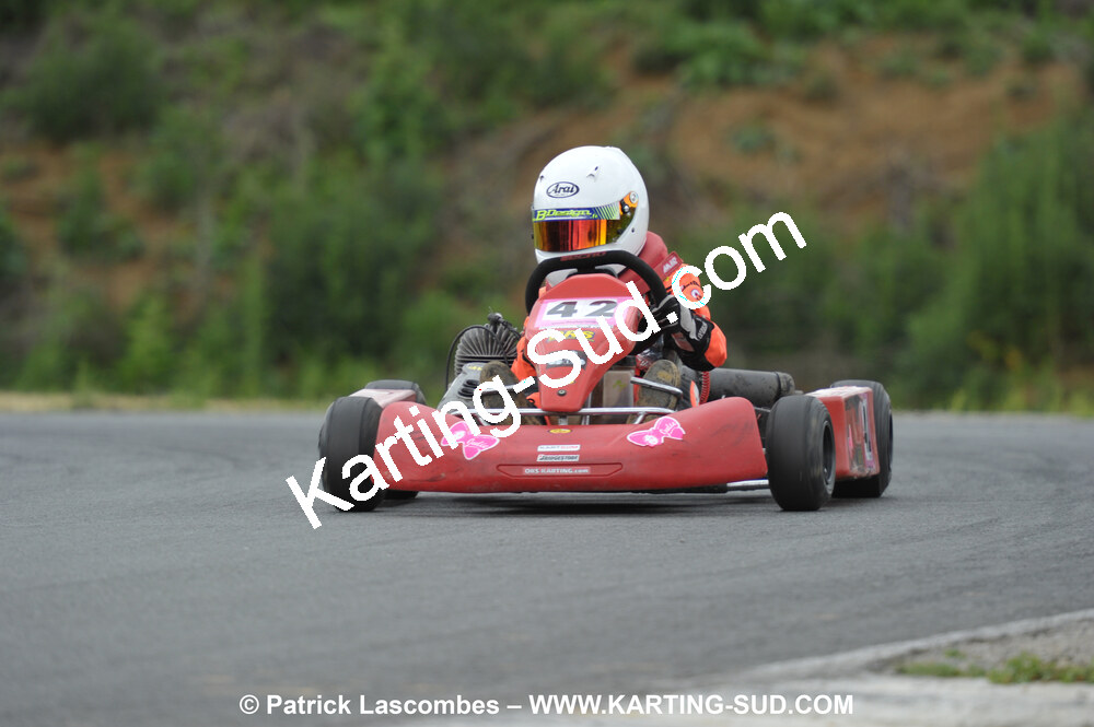 20/06/2010 : 4ème manche du Championnat Régional Open Atlantique 2010 à Layrac (photos Patrick Lascombes) 2010 — karting