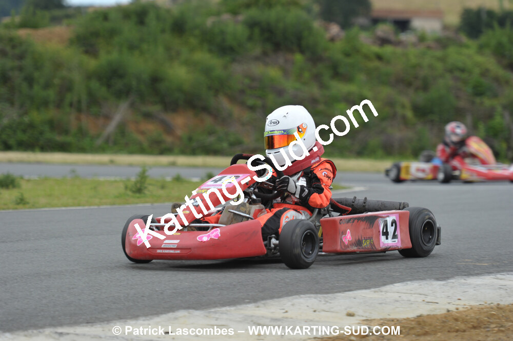 20/06/2010 : 4ème manche du Championnat Régional Open Atlantique 2010 à Layrac (photos Patrick Lascombes) 2010 — karting