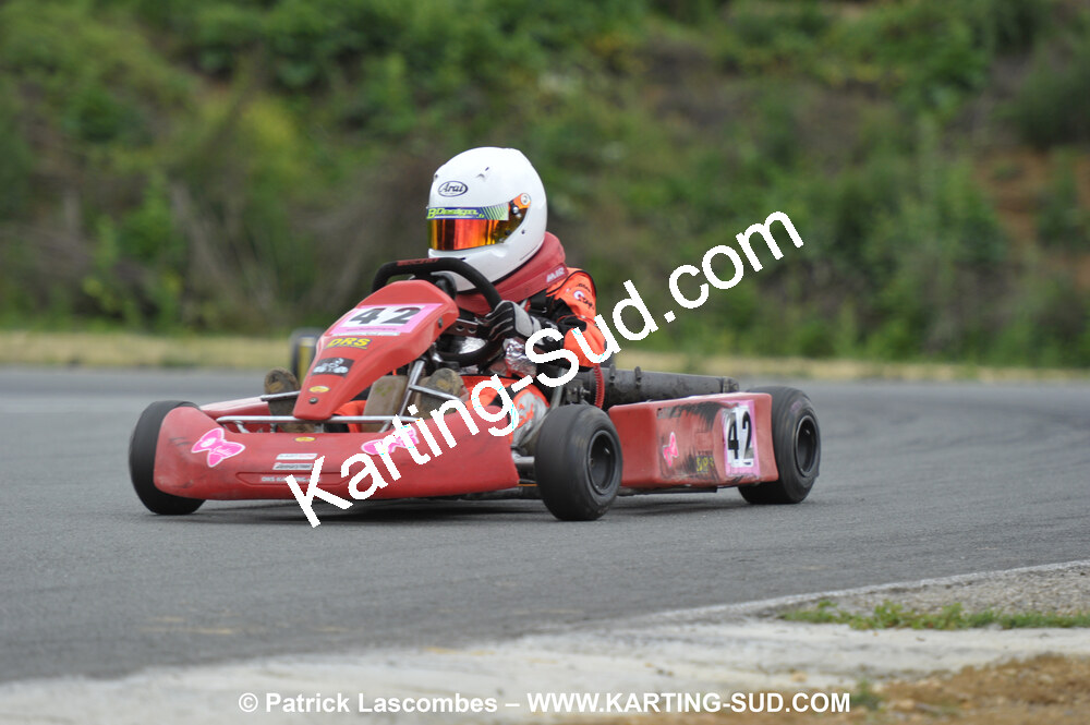 20/06/2010 : 4ème manche du Championnat Régional Open Atlantique 2010 à Layrac (photos Patrick Lascombes) 2010 — karting