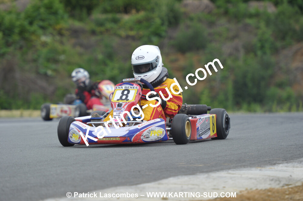 20/06/2010 : 4ème manche du Championnat Régional Open Atlantique 2010 à Layrac (photos Patrick Lascombes) 2010 — karting