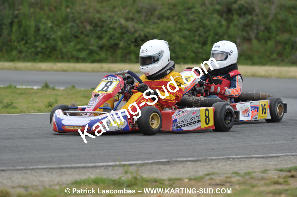 20/06/2010 : 4ème manche du Championnat Régional Open Atlantique 2010 à Layrac (photos Patrick Lascombes) 2010 — karting