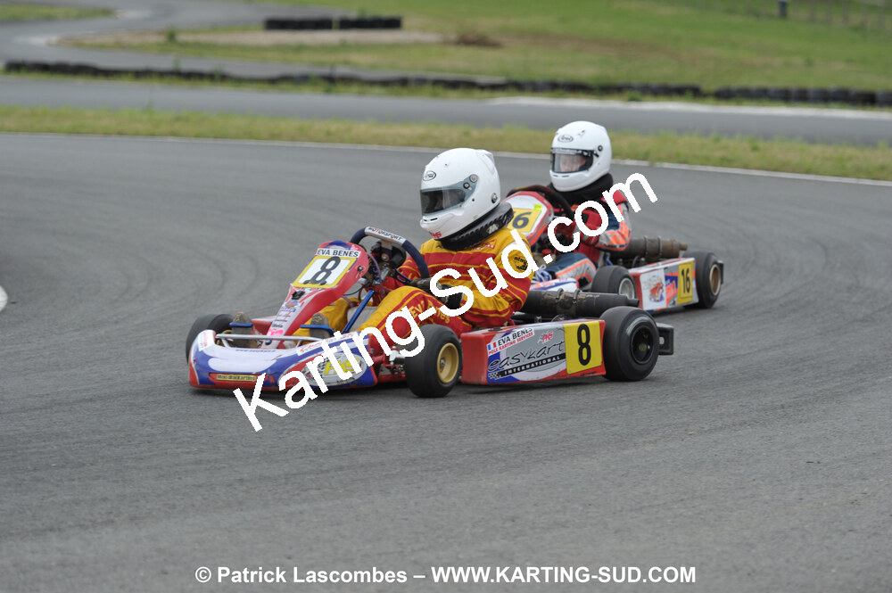 20/06/2010 : 4ème manche du Championnat Régional Open Atlantique 2010 à Layrac (photos Patrick Lascombes) 2010 — karting