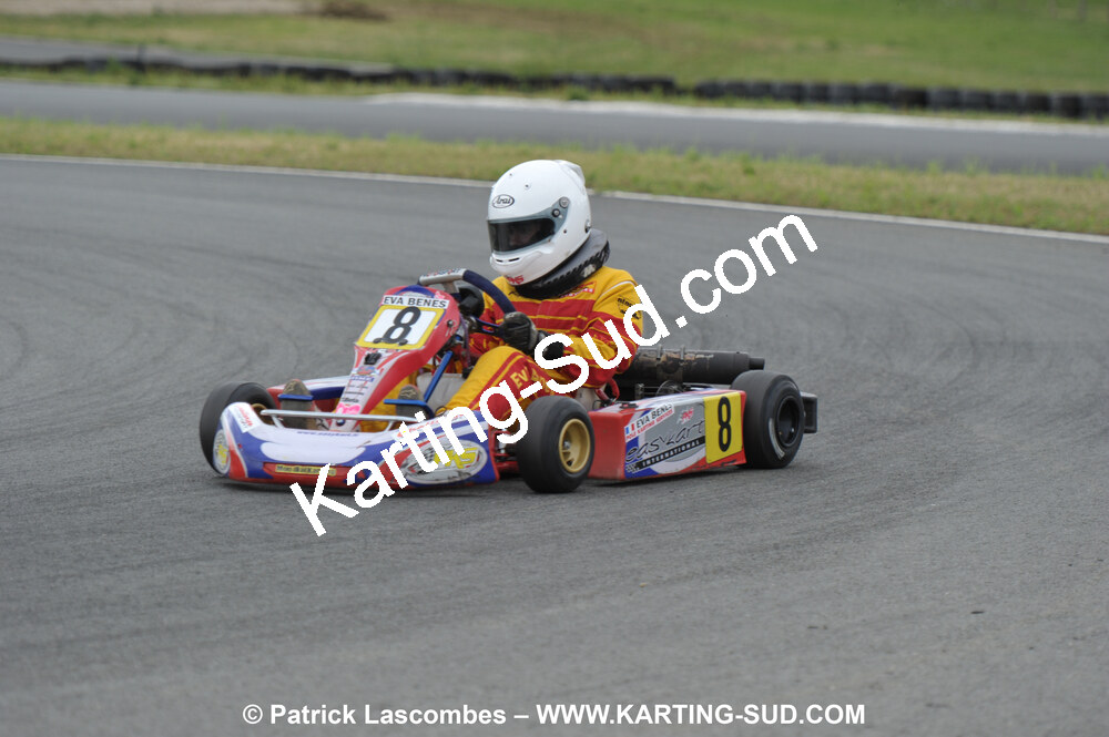 20/06/2010 : 4ème manche du Championnat Régional Open Atlantique 2010 à Layrac (photos Patrick Lascombes) 2010 — karting