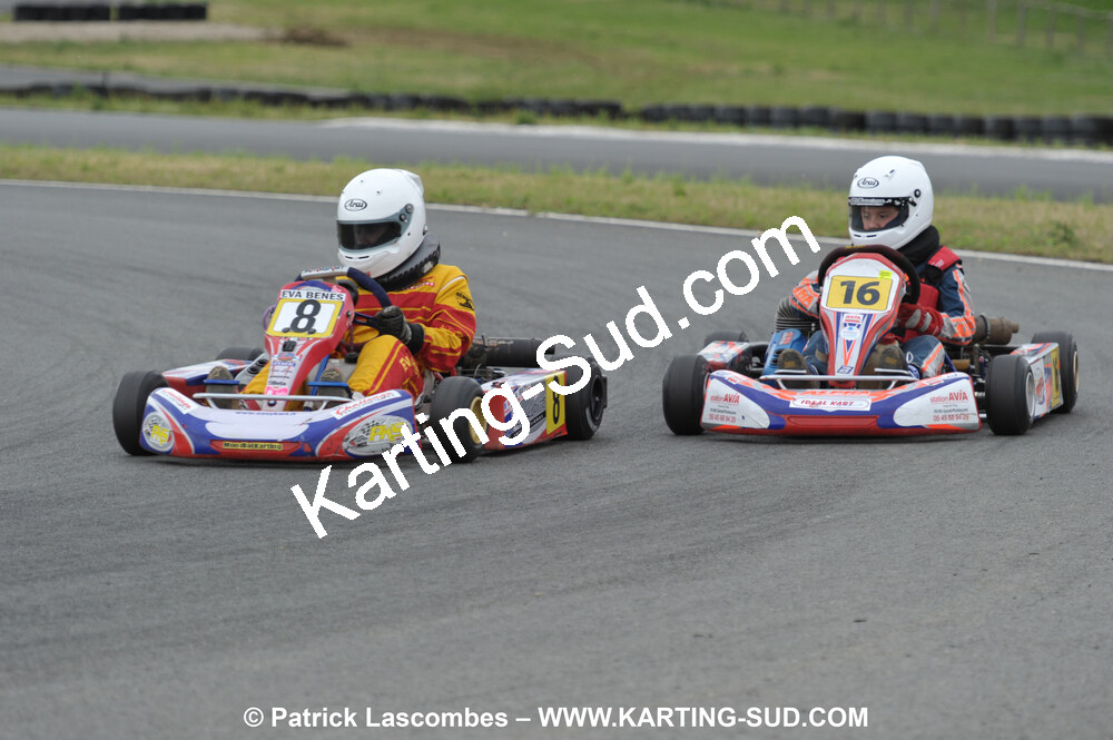 20/06/2010 : 4ème manche du Championnat Régional Open Atlantique 2010 à Layrac (photos Patrick Lascombes) 2010 — karting