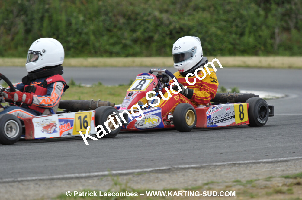20/06/2010 : 4ème manche du Championnat Régional Open Atlantique 2010 à Layrac (photos Patrick Lascombes) 2010 — karting