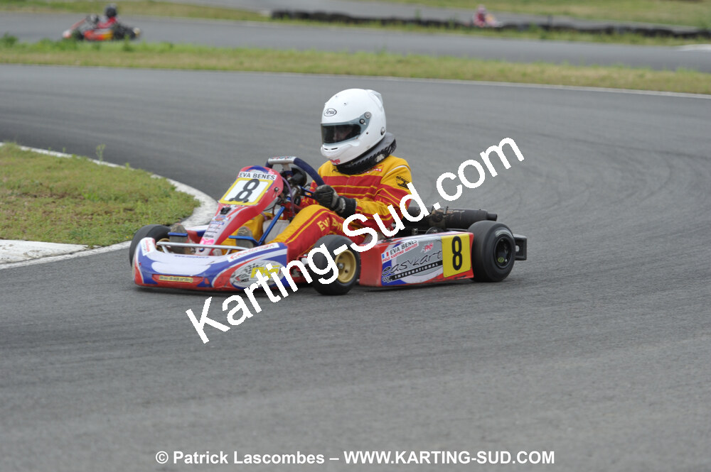 20/06/2010 : 4ème manche du Championnat Régional Open Atlantique 2010 à Layrac (photos Patrick Lascombes) 2010 — karting