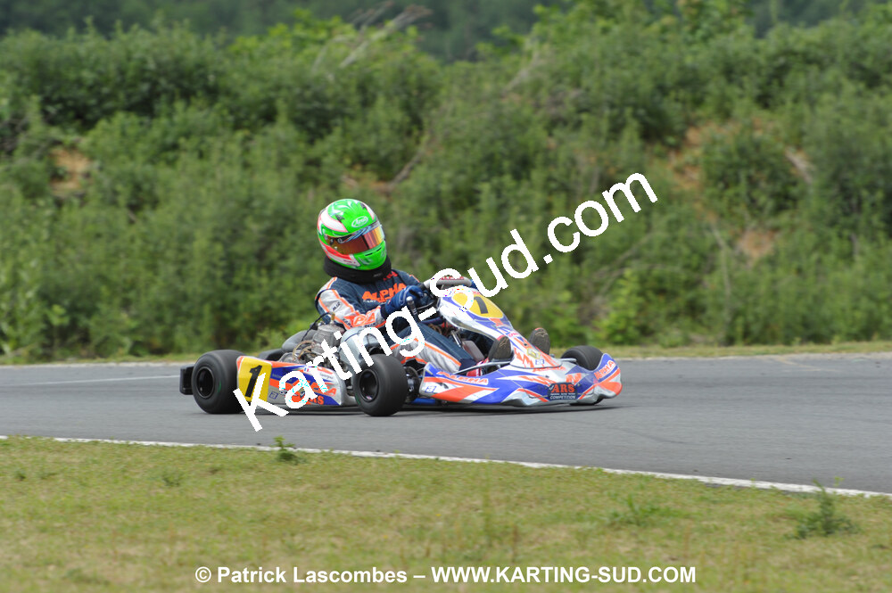 20/06/2010 : 4ème manche du Championnat Régional Open Atlantique 2010 à Layrac (photos Patrick Lascombes) 2010 — karting